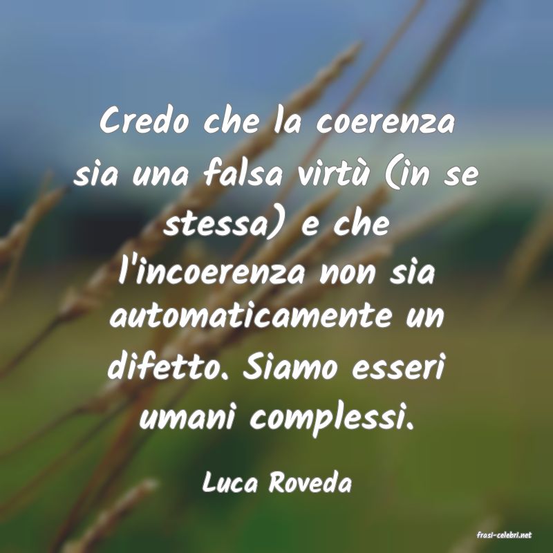 frasi di  Luca Roveda
