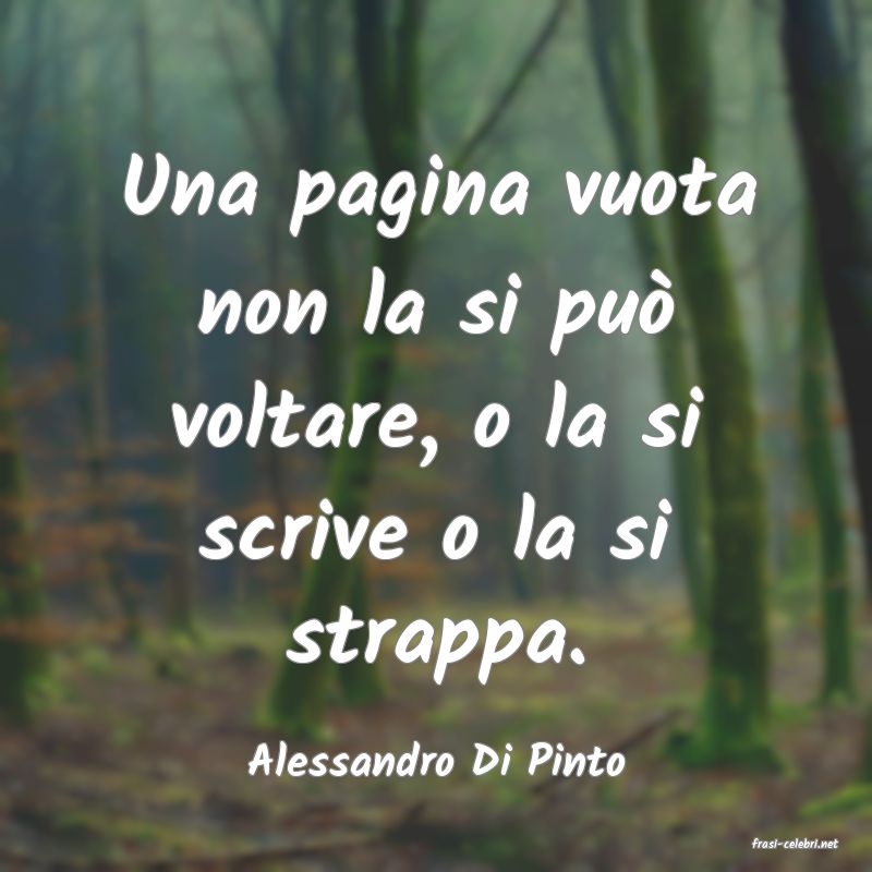 frasi di  Alessandro Di Pinto
