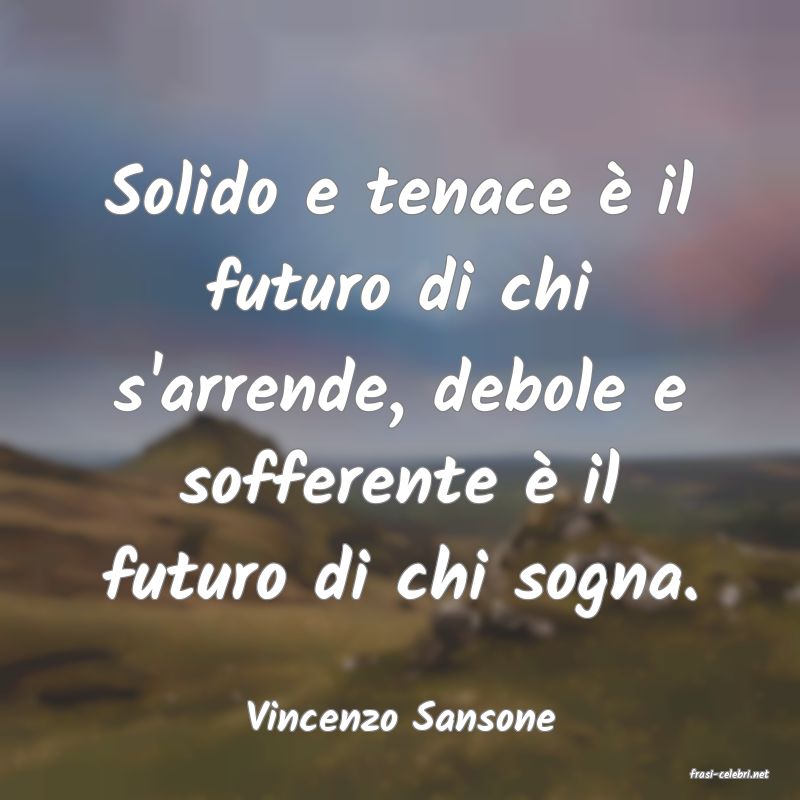 frasi di Vincenzo Sansone