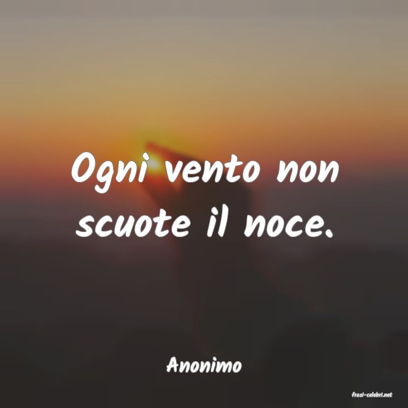 frasi di Anonimo