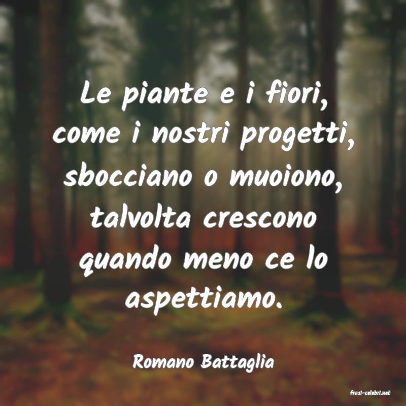 frasi di Romano Battaglia