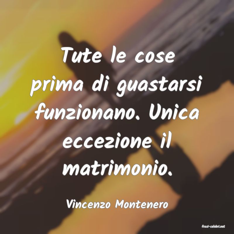 frasi di  Vincenzo Montenero
