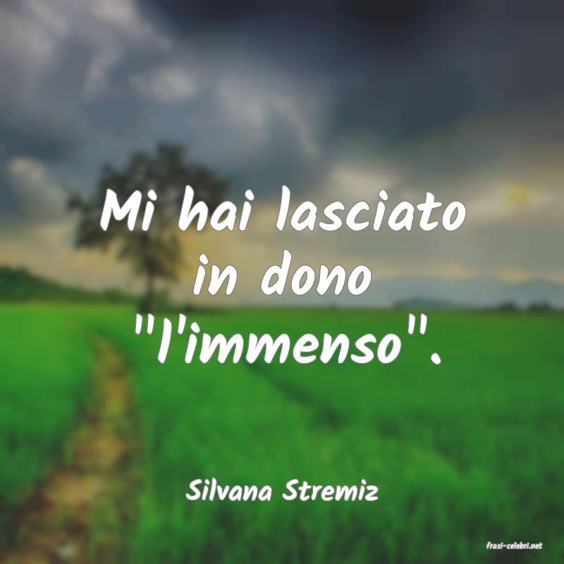 frasi di  Silvana Stremiz
