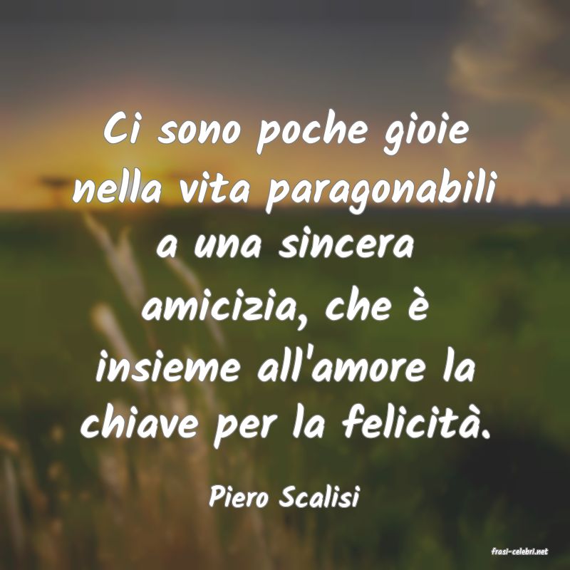 frasi di  Piero Scalisi
