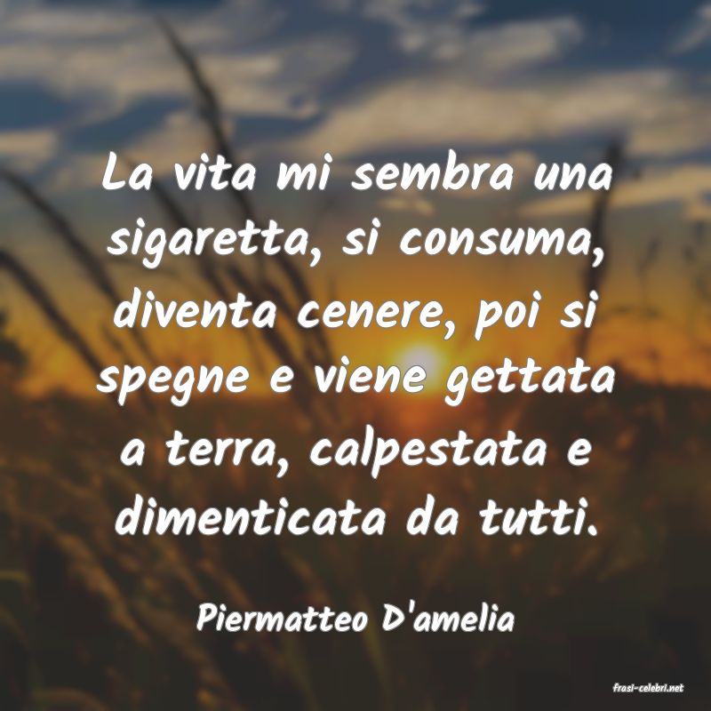 frasi di  Piermatteo D'amelia
