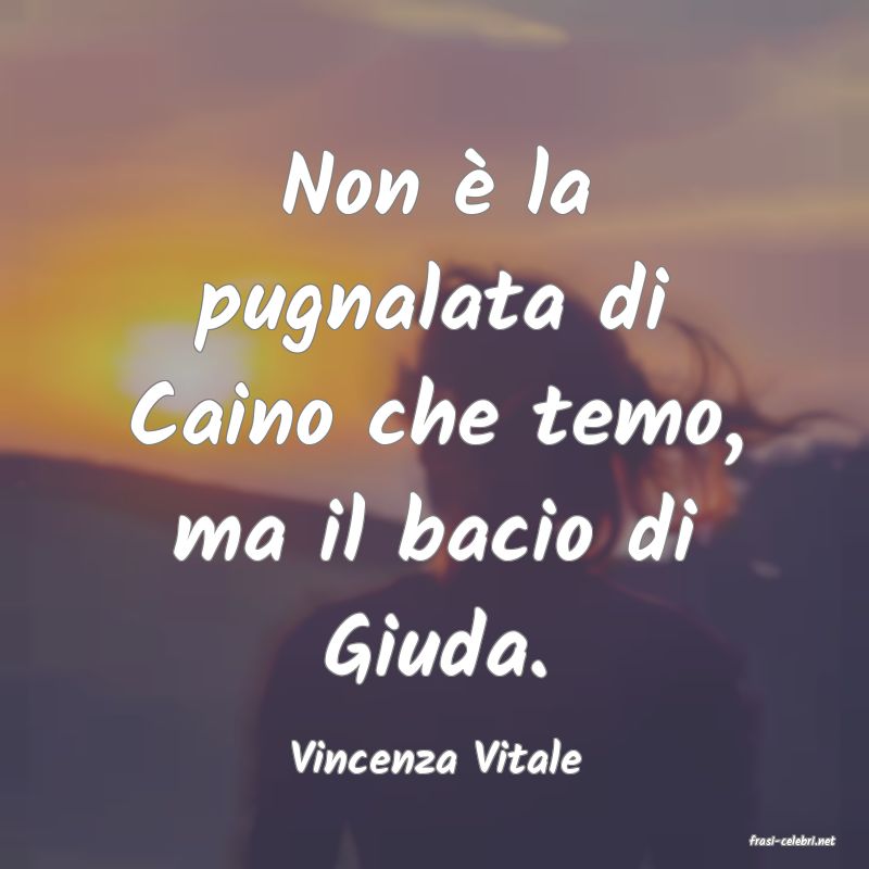 frasi di  Vincenza Vitale

