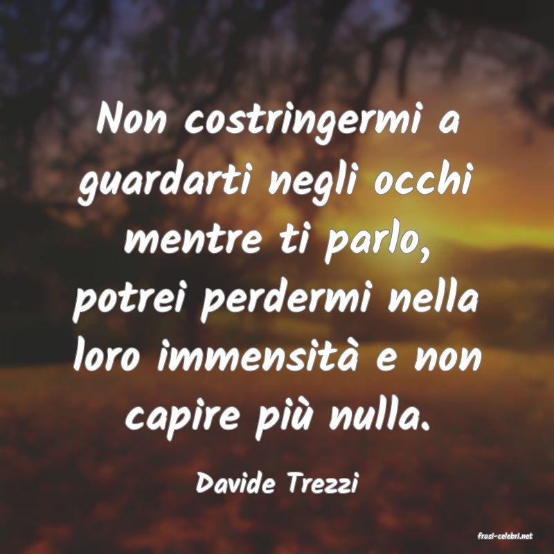 frasi di  Davide Trezzi
