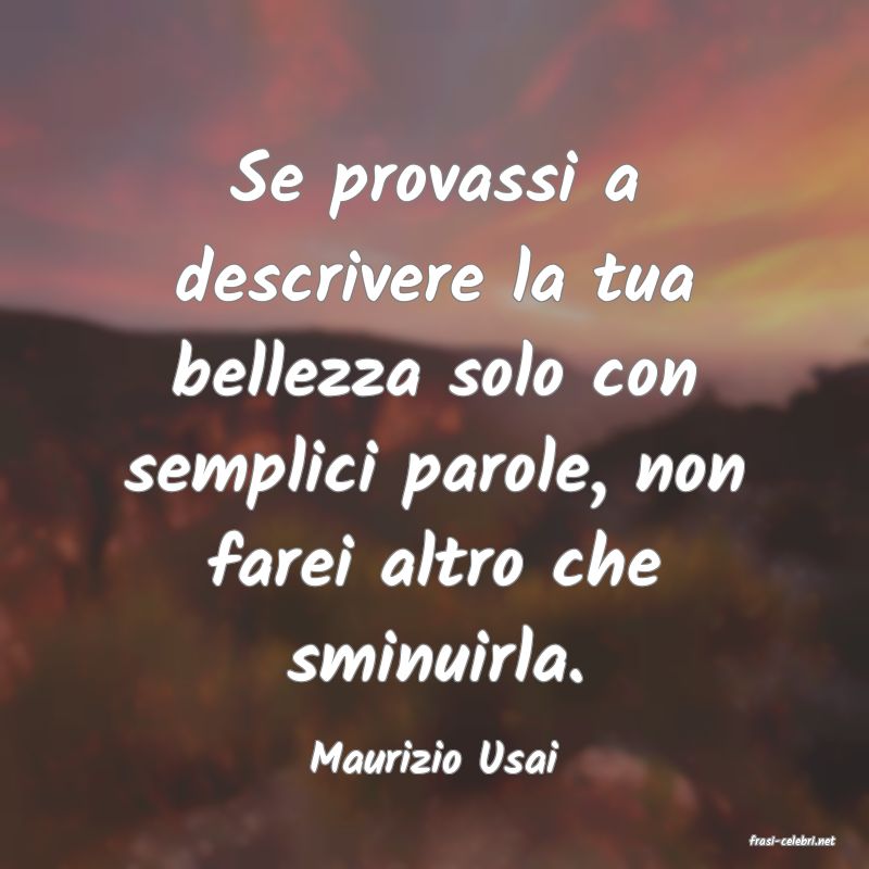 frasi di  Maurizio Usai
