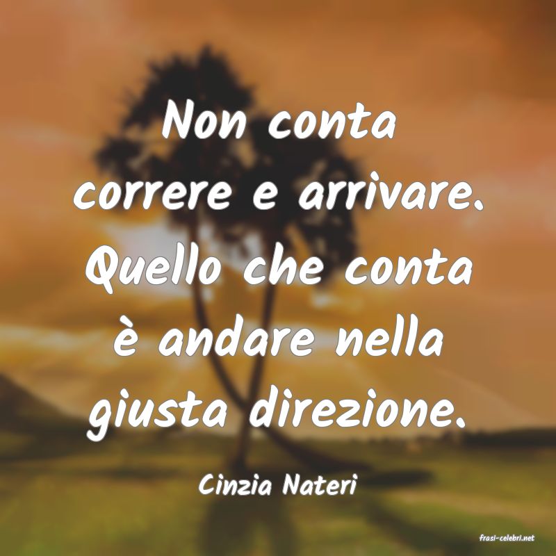 frasi di  Cinzia Nateri
