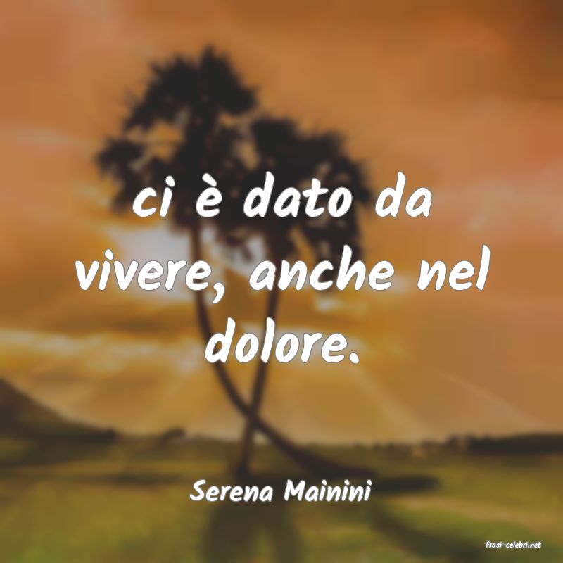 frasi di  Serena Mainini
