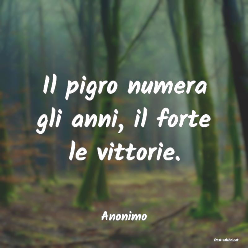 frasi di  Anonimo
