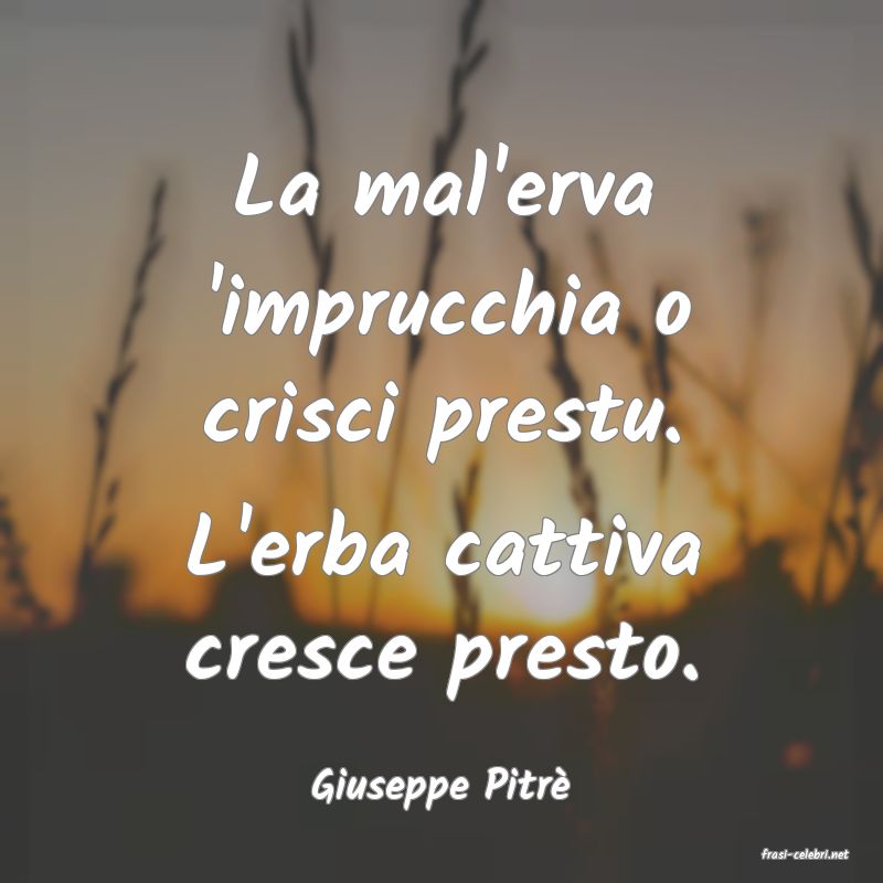 frasi di Giuseppe Pitr