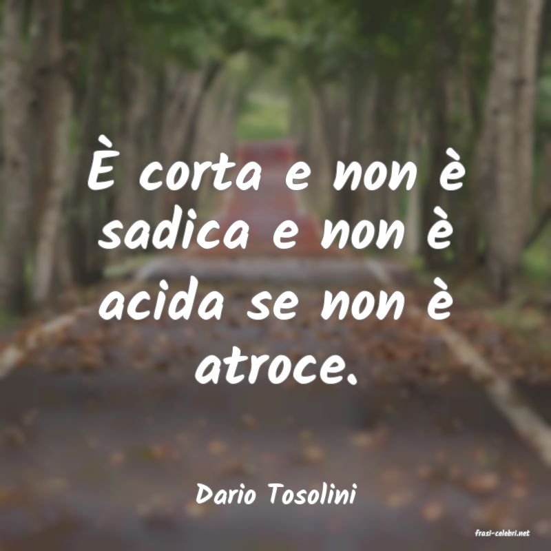 frasi di Dario Tosolini