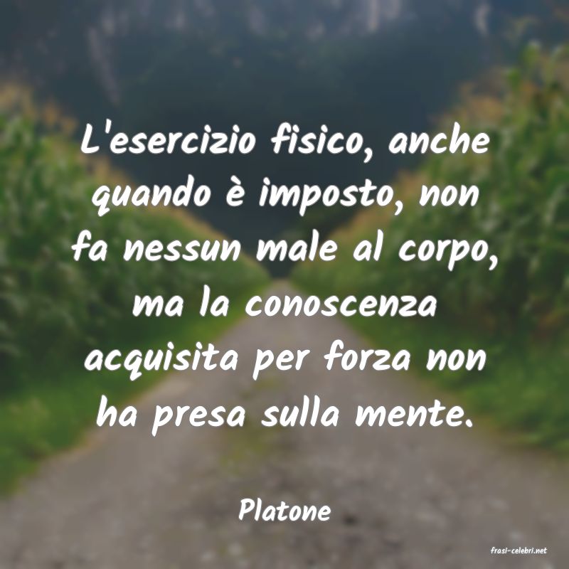 frasi di Platone