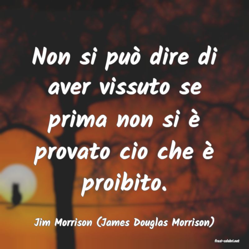 frasi di Jim Morrison (James Douglas Morrison)