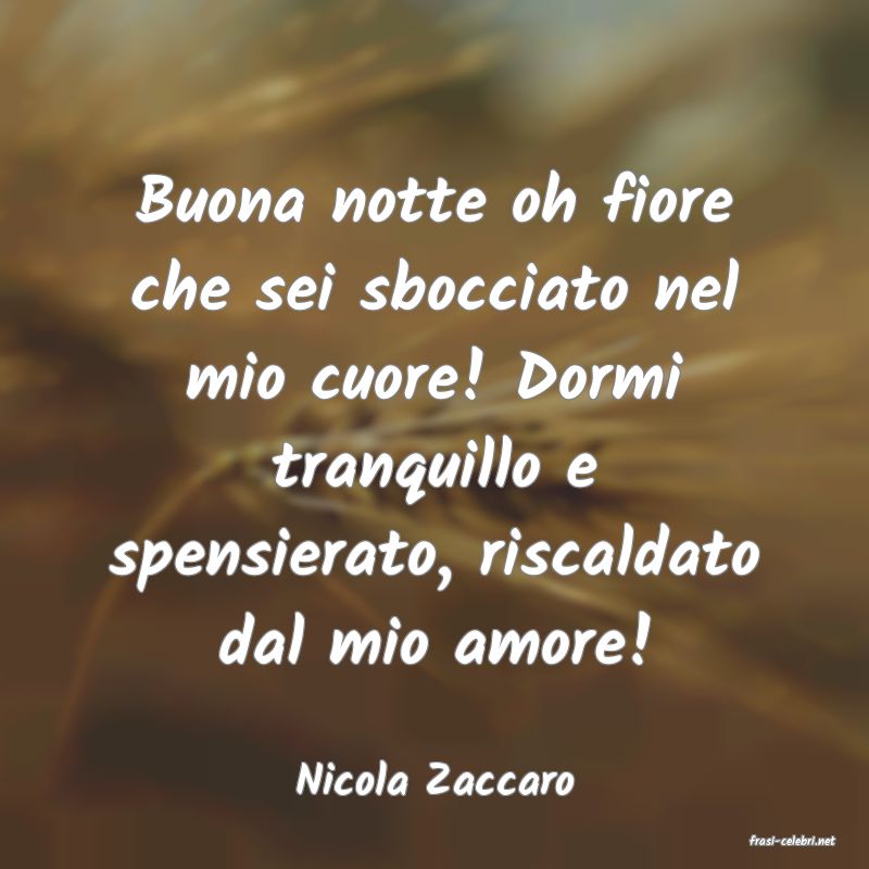 frasi di Nicola Zaccaro