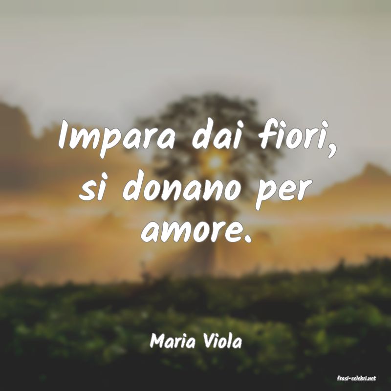 frasi di  Maria Viola
