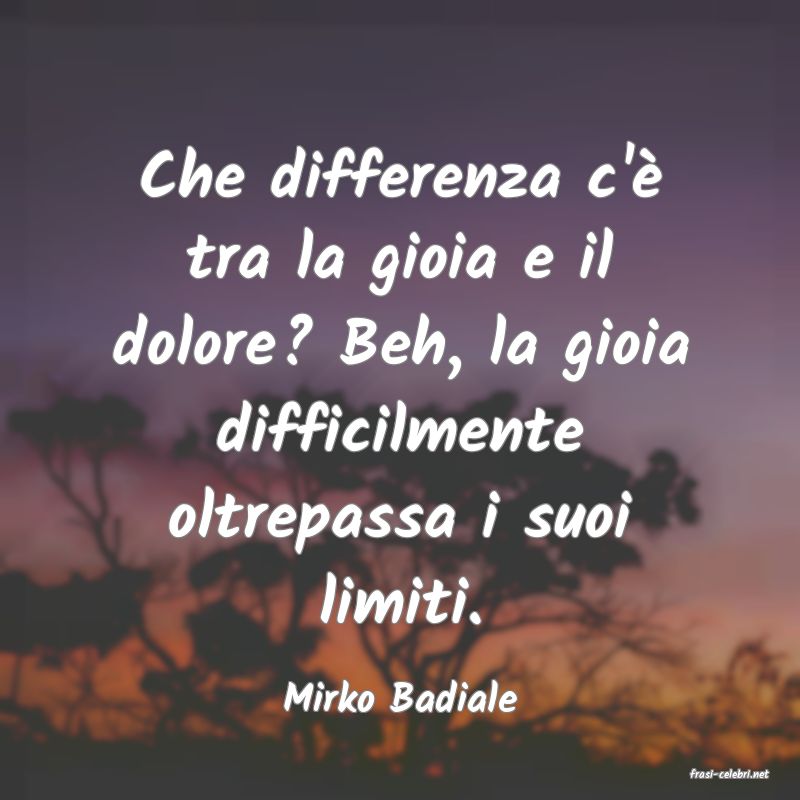frasi di  Mirko Badiale

