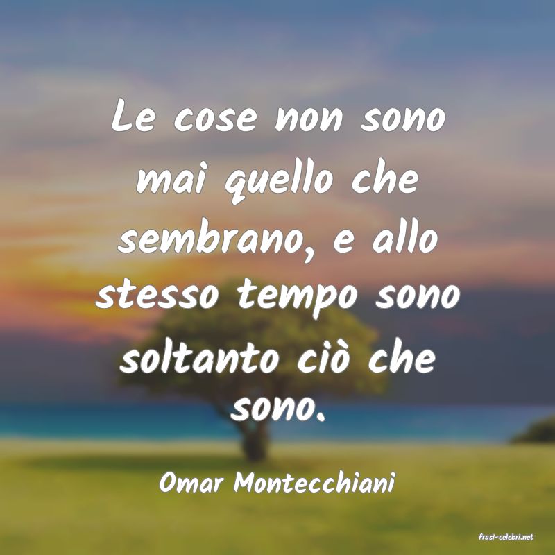 frasi di  Omar Montecchiani
