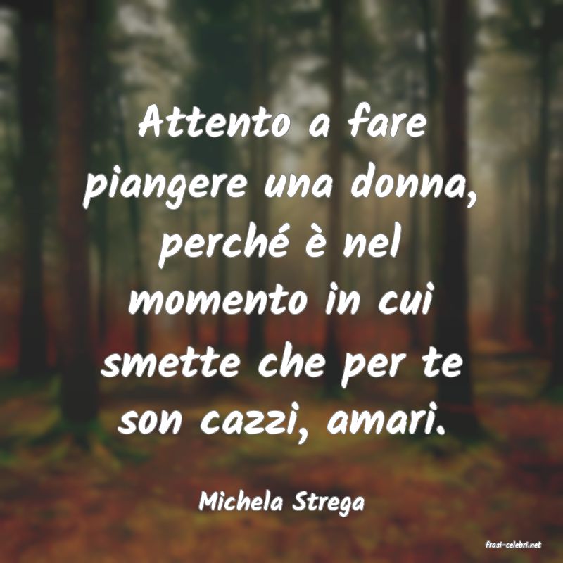 frasi di Michela Strega