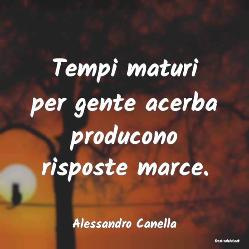 frasi di Alessandro Canella