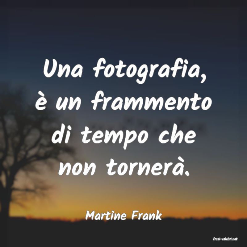 frasi di  Martine Frank
