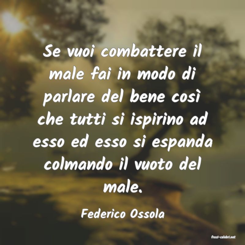 frasi di  Federico Ossola
