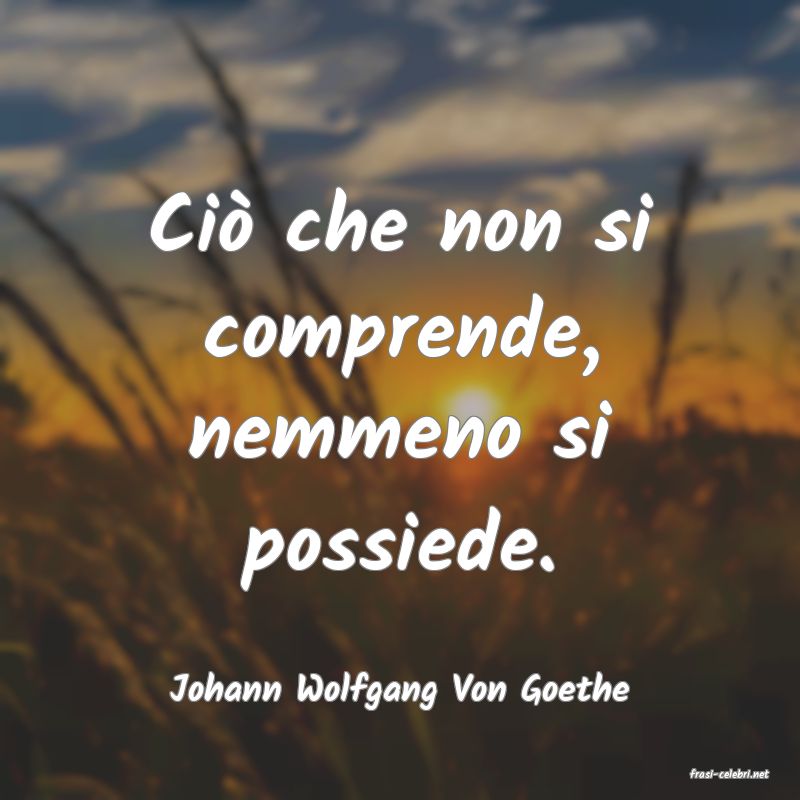 frasi di  Johann Wolfgang Von Goethe
