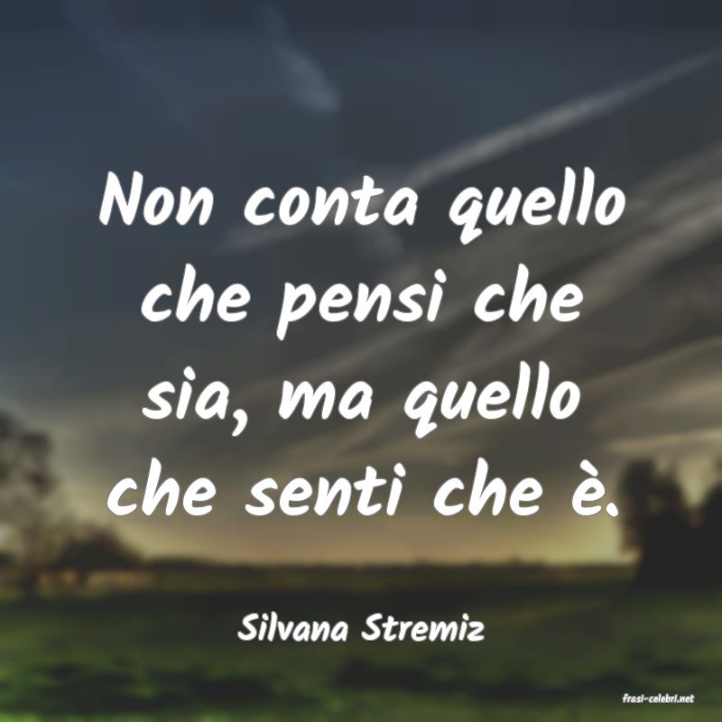 frasi di  Silvana Stremiz
