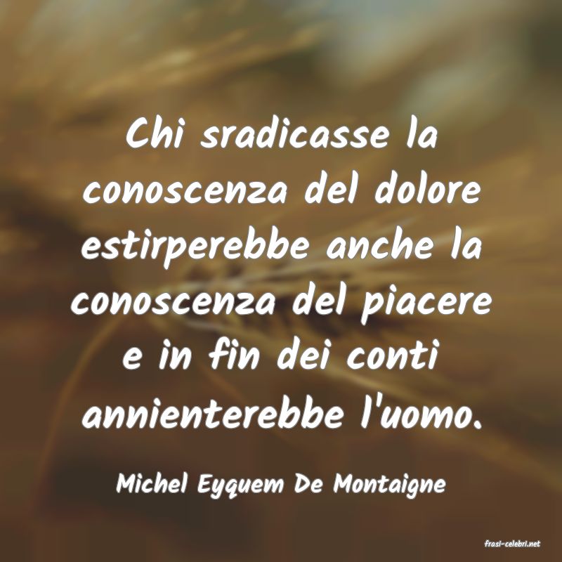 frasi di  Michel Eyquem De Montaigne
