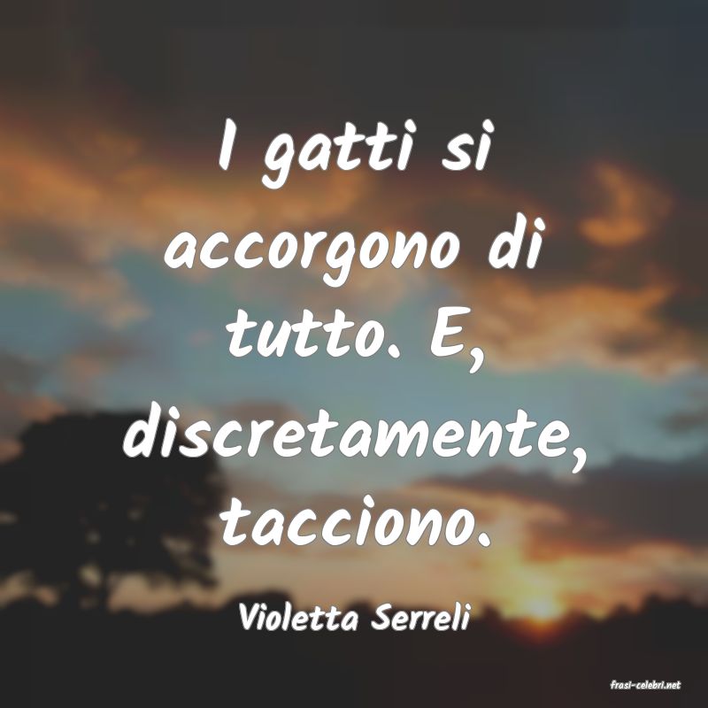 frasi di  Violetta Serreli
