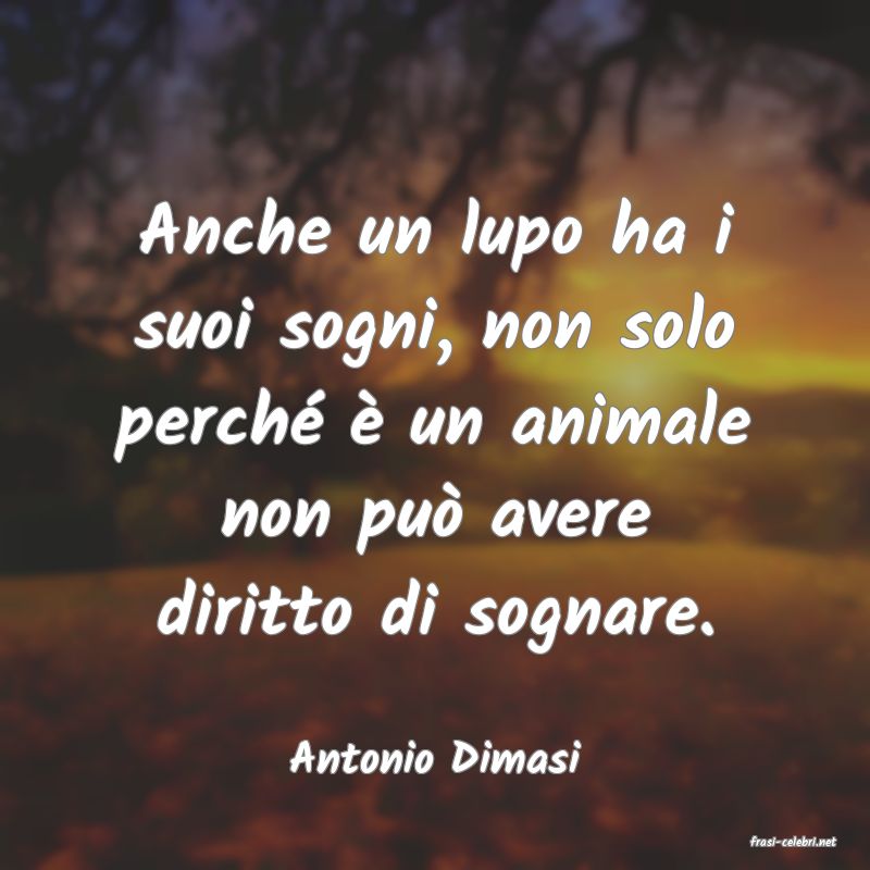 frasi di  Antonio Dimasi
