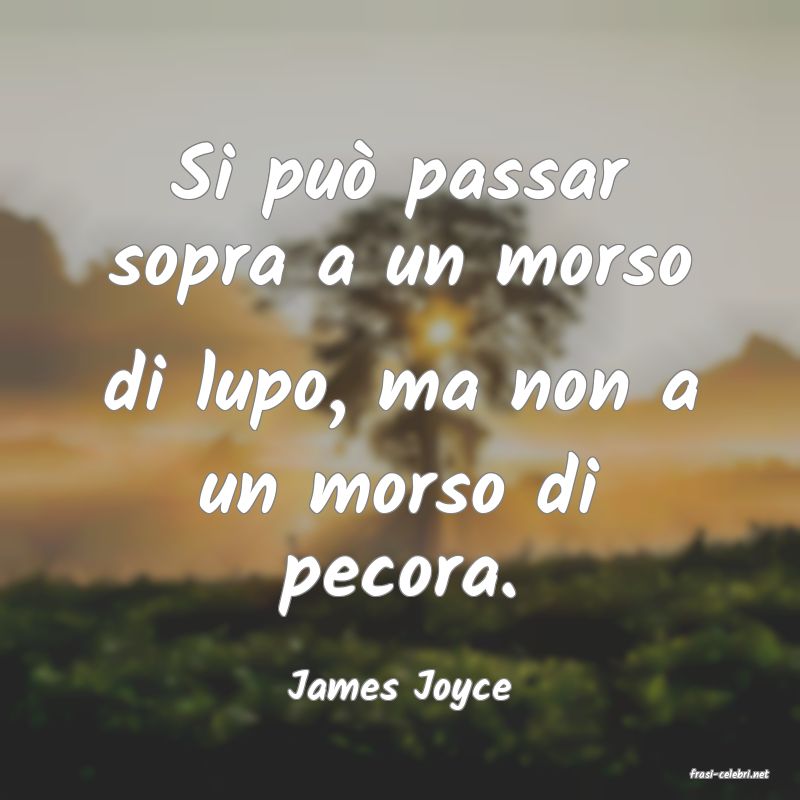 frasi di  James Joyce

