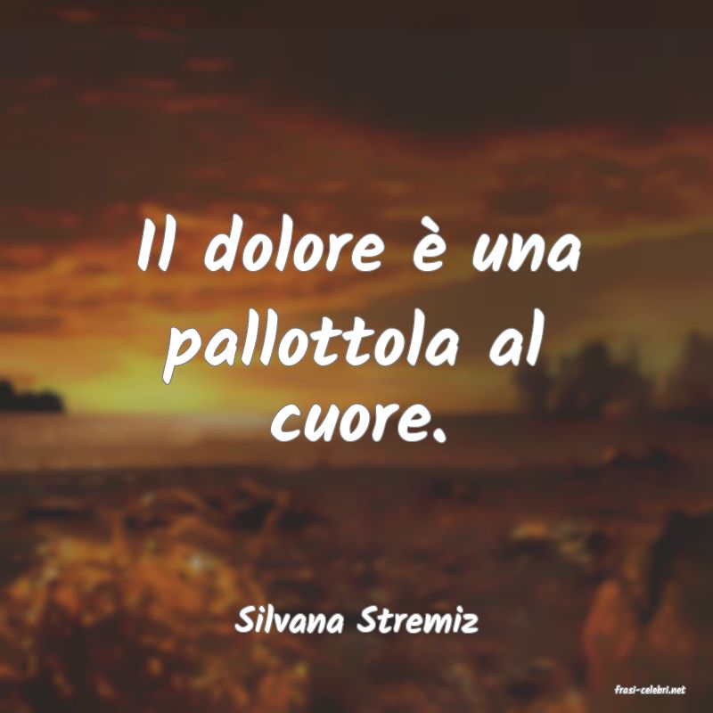 frasi di  Silvana Stremiz
