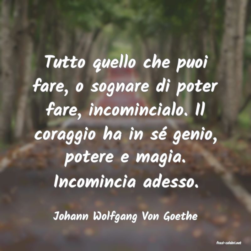 frasi di  Johann Wolfgang Von Goethe
