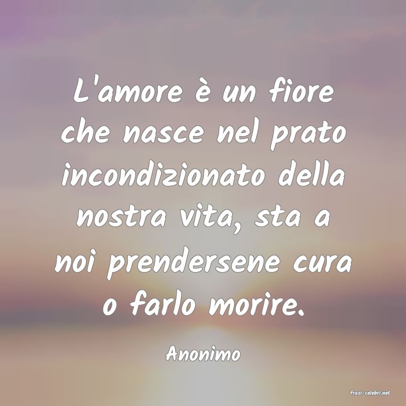 frasi di  Anonimo
