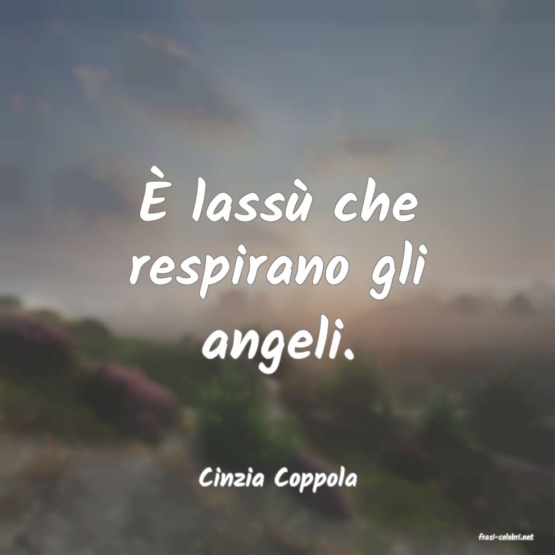 frasi di  Cinzia Coppola
