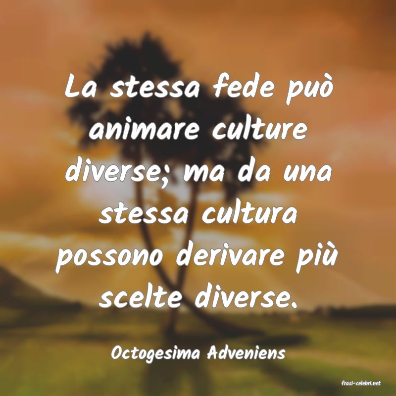 frasi di Octogesima Adveniens