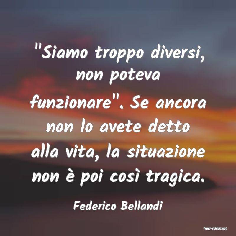 frasi di  Federico Bellandi
