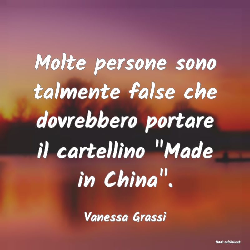 frasi di  Vanessa Grassi

