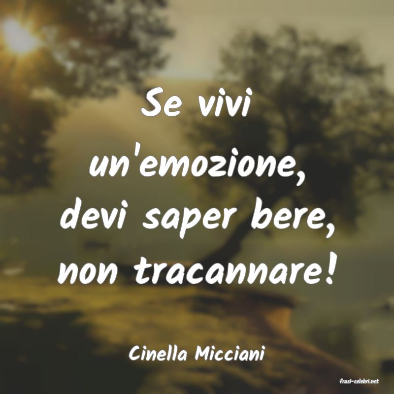 frasi di Cinella Micciani