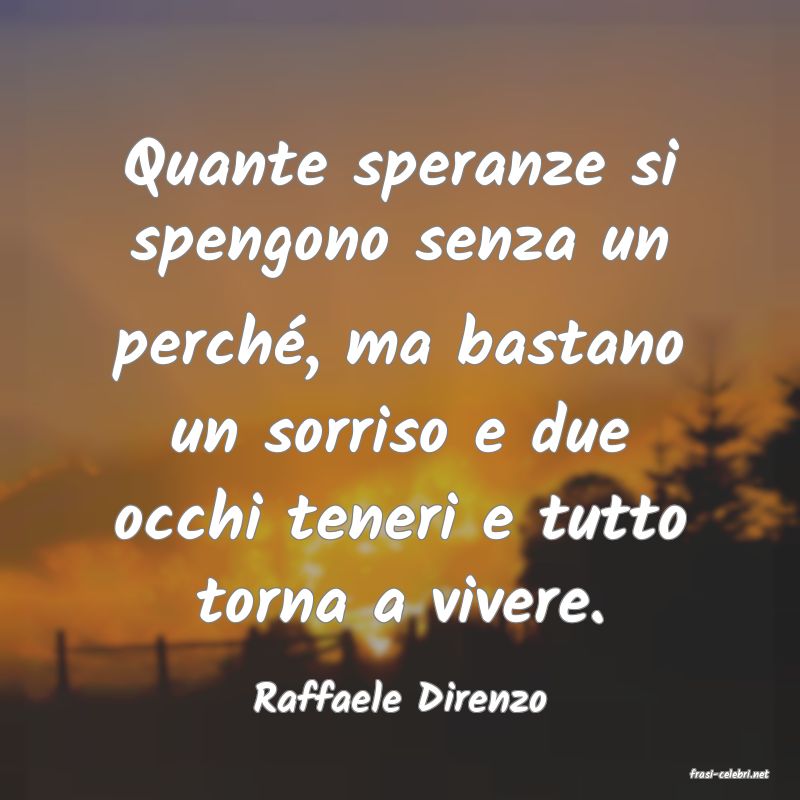 frasi di  Raffaele Direnzo
