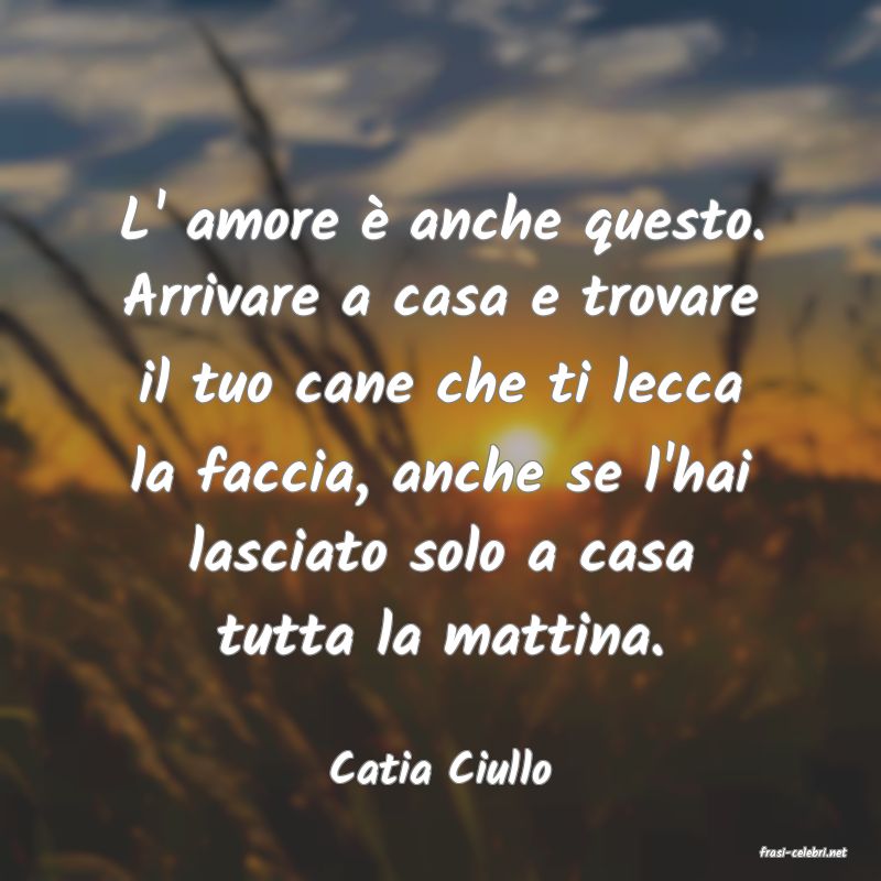 frasi di  Catia Ciullo
