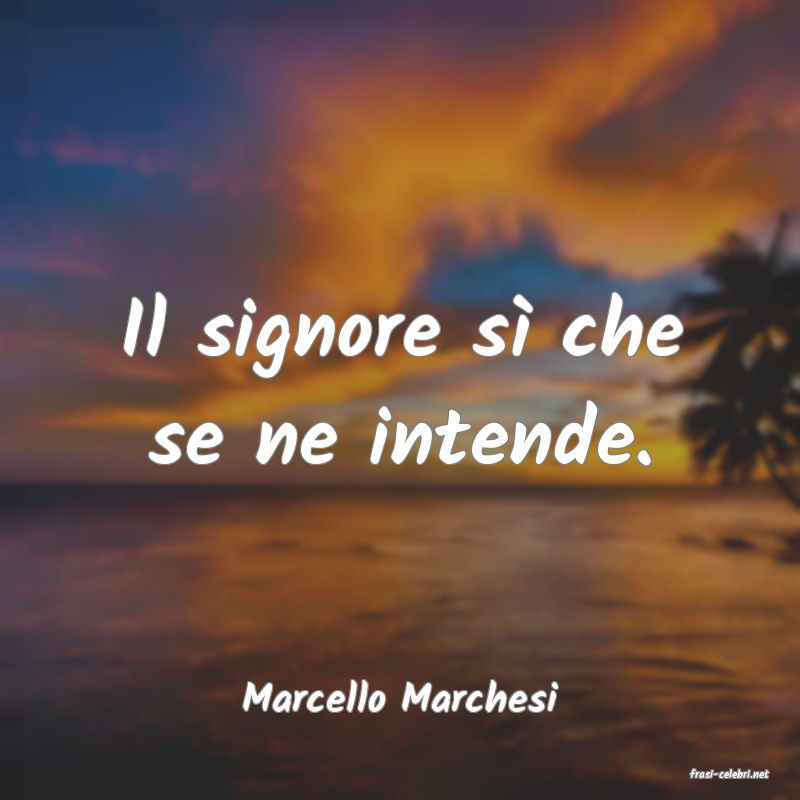 frasi di  Marcello Marchesi
