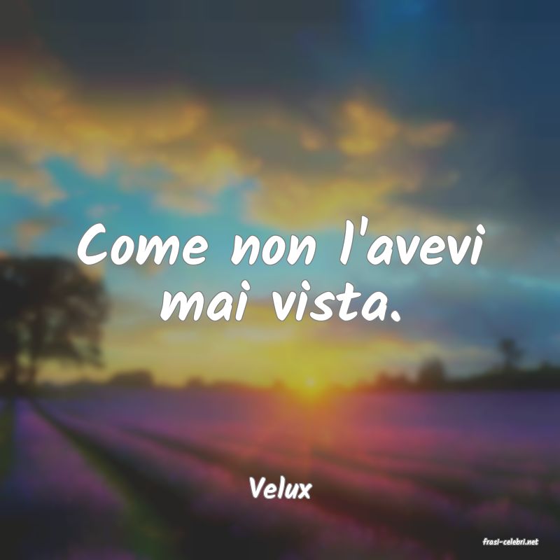 frasi di  Velux
