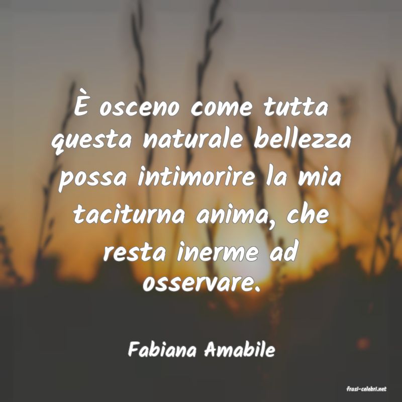 frasi di  Fabiana Amabile
