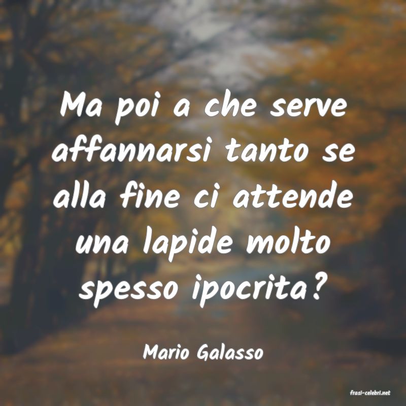 frasi di  Mario Galasso
