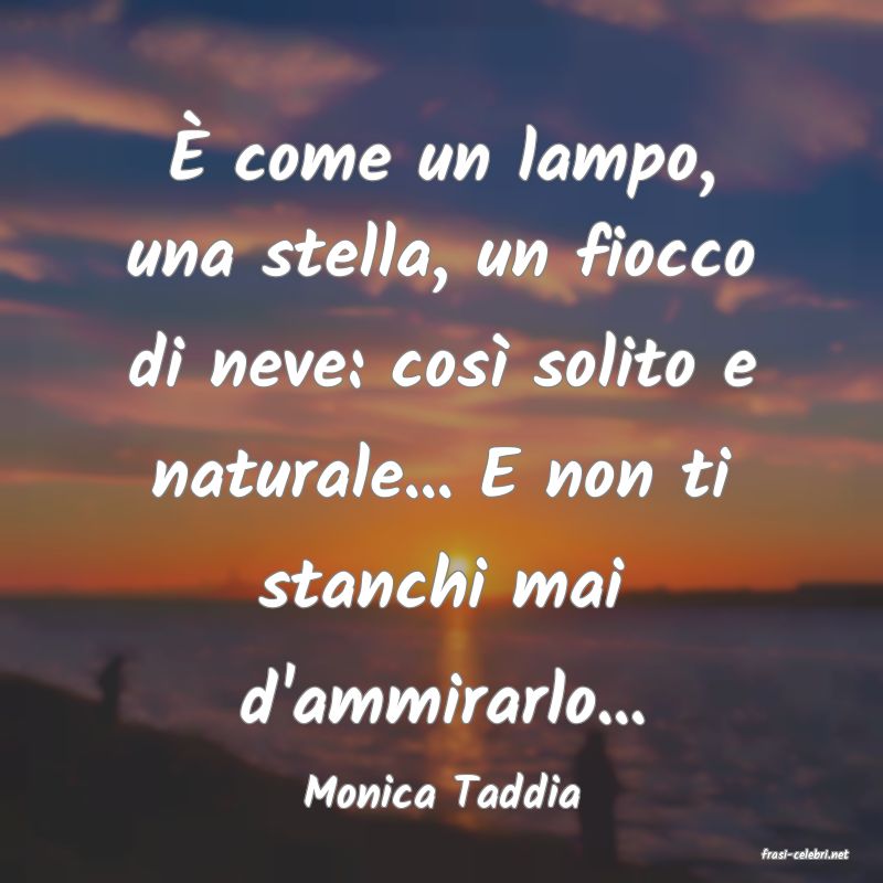 frasi di Monica Taddia
