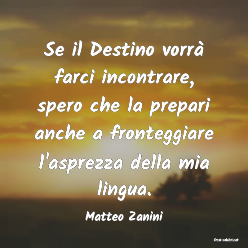 frasi di  Matteo Zanini
