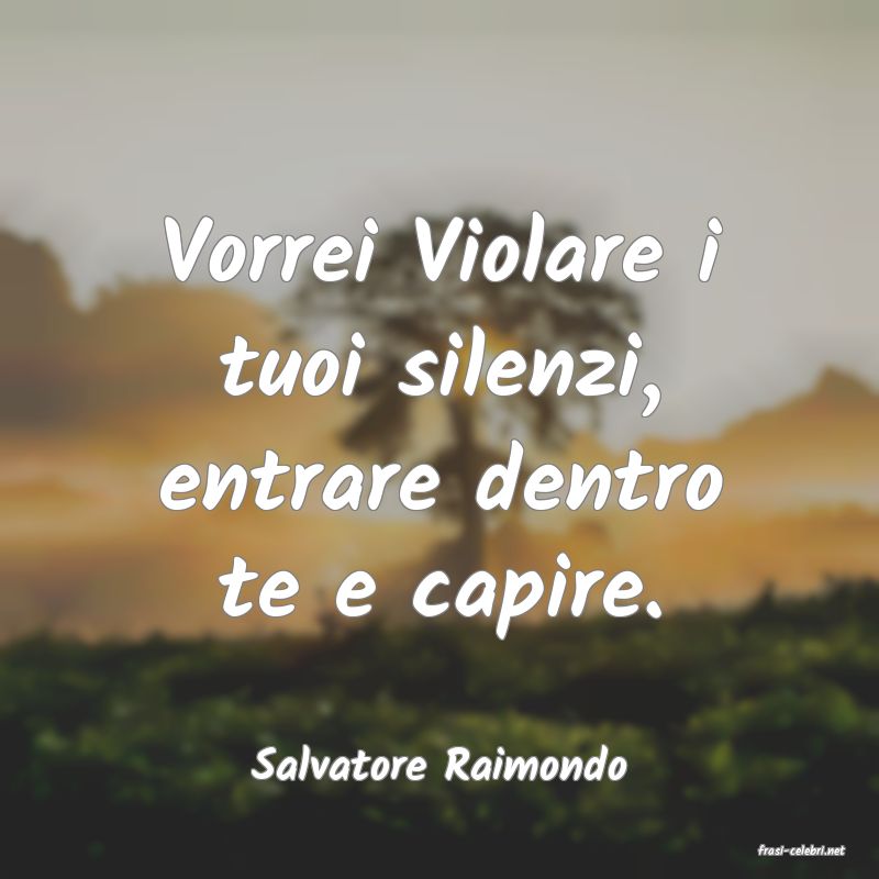 frasi di  Salvatore Raimondo
